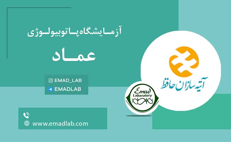 بیمه های عماد24