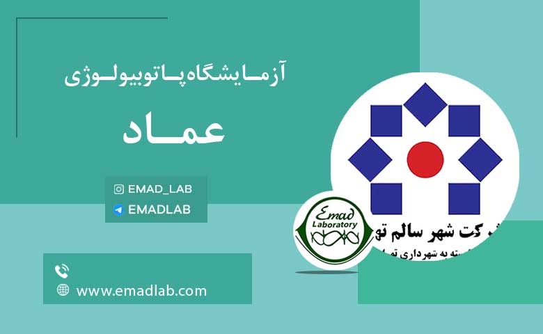 بیمه های عماد25