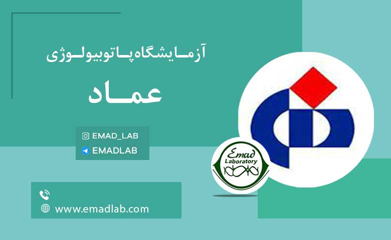 بیمه های عماد28