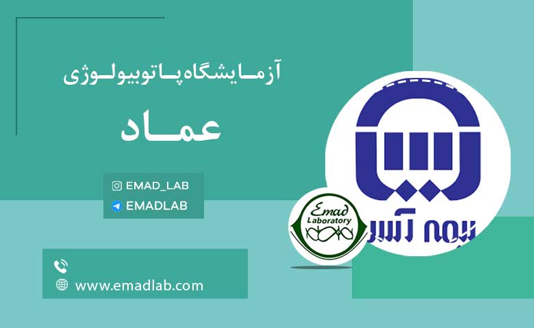 بیمه های عماد5