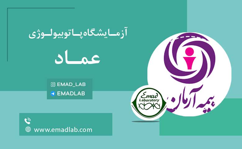 بیمه های عماد6