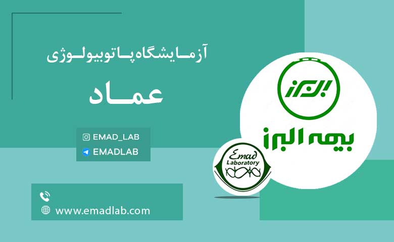 بیمه های عماد8