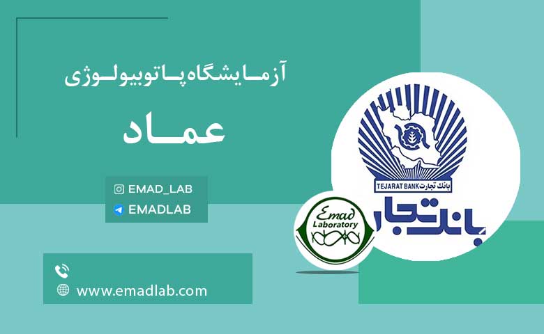 بیمه های عماد9